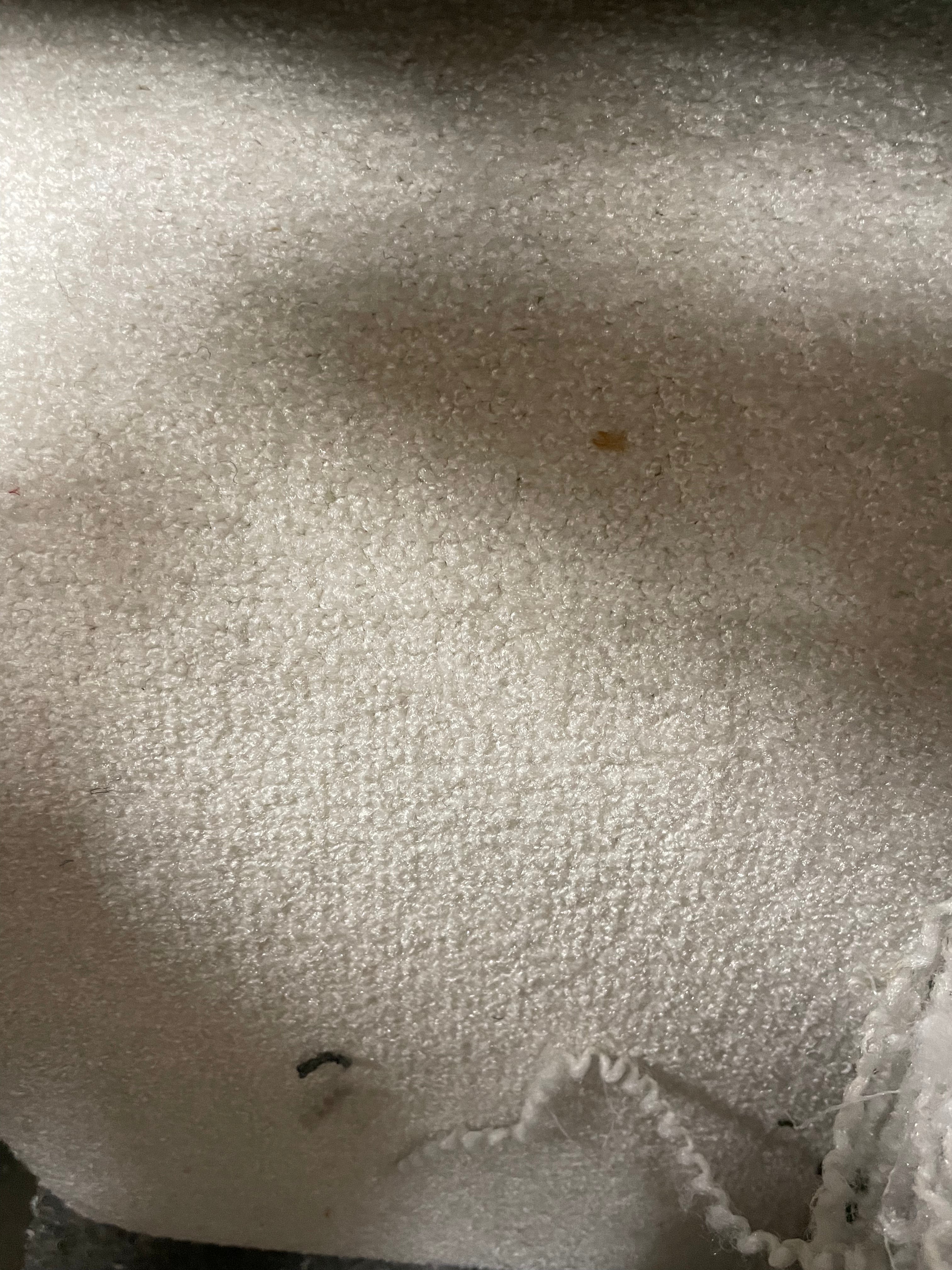 Actie Tapijt Crème Budget 400cm Breed