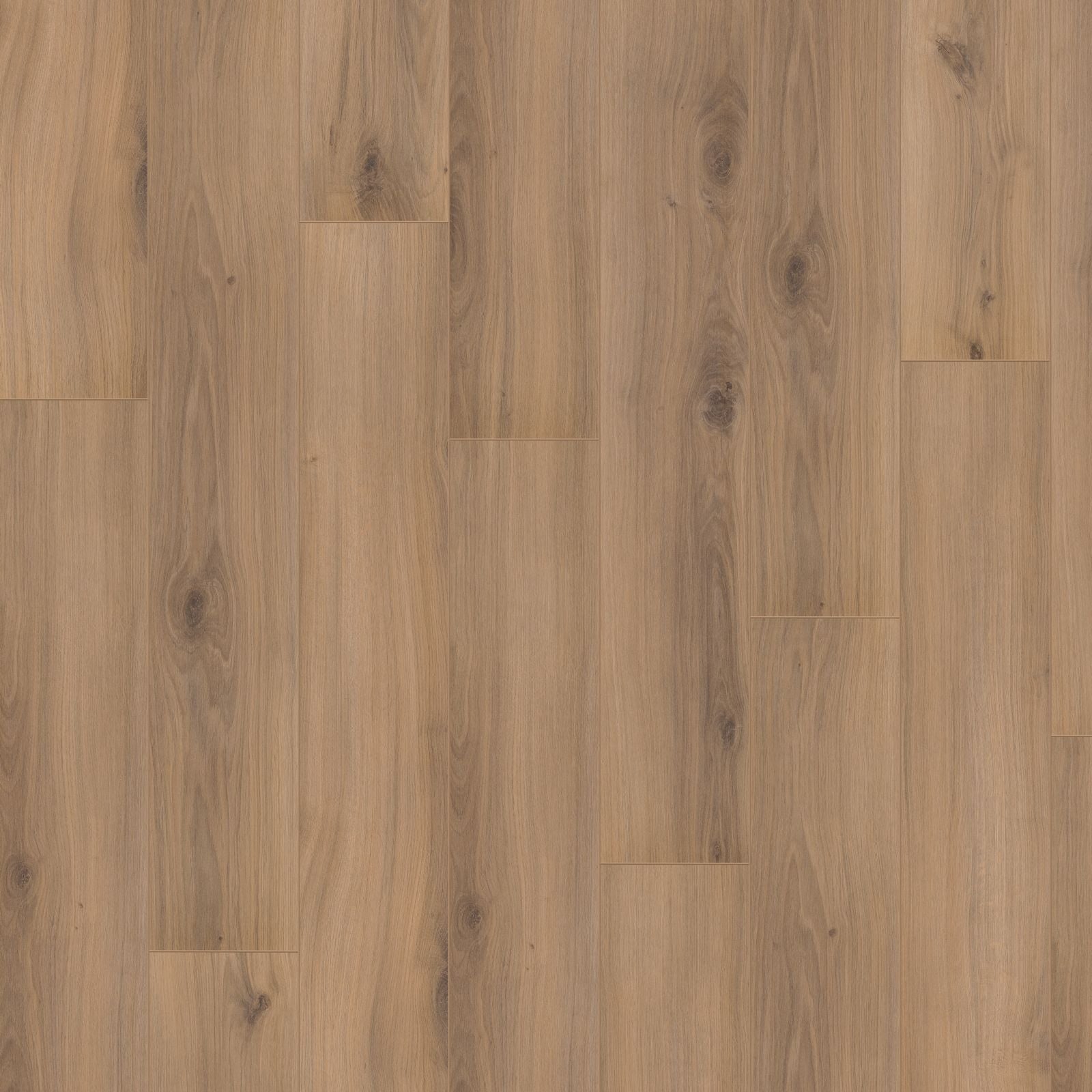 Hoomline Optima V4 4936 Freemantle Laminaat - Laminaatvloer