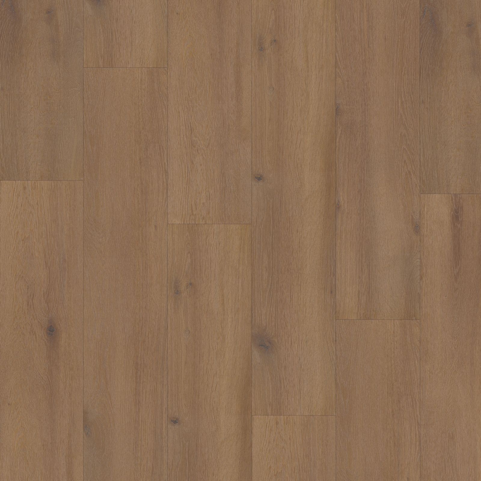 Hoomline Elite XL Aquaprotect V4 6079 Waal Laminaat - Laminaatvloer