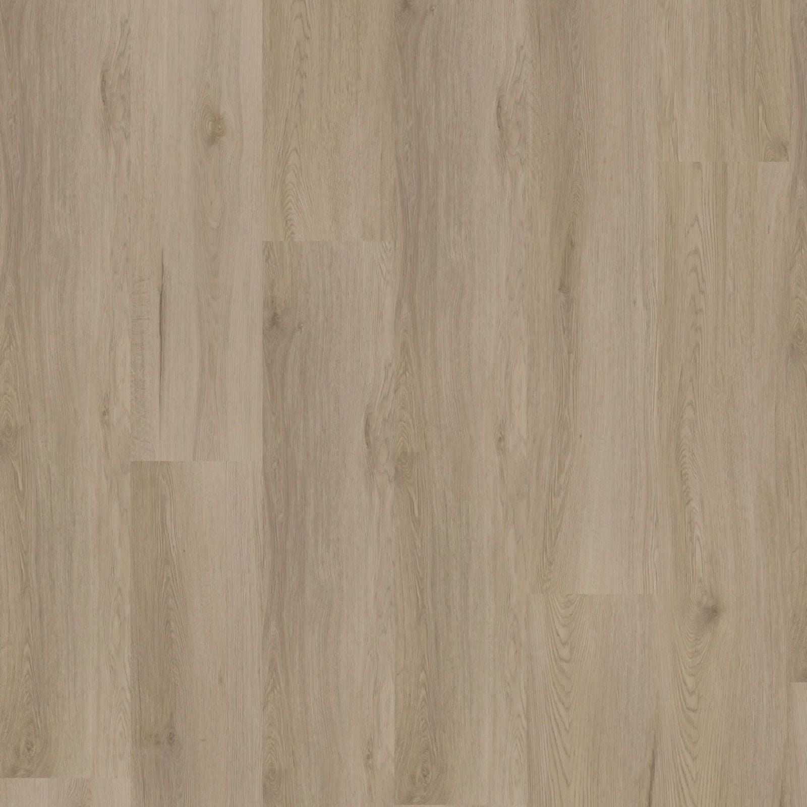 Hoomline Ambassador Dryback Missouri 63 - Plak PVC Vloer