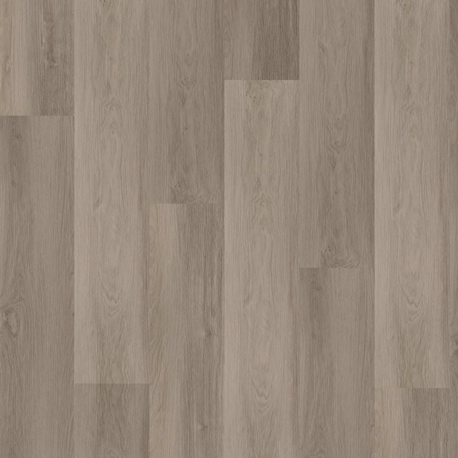 Hoomline Briljant Krokus 20014 Dryback - Plak PVC Vloer