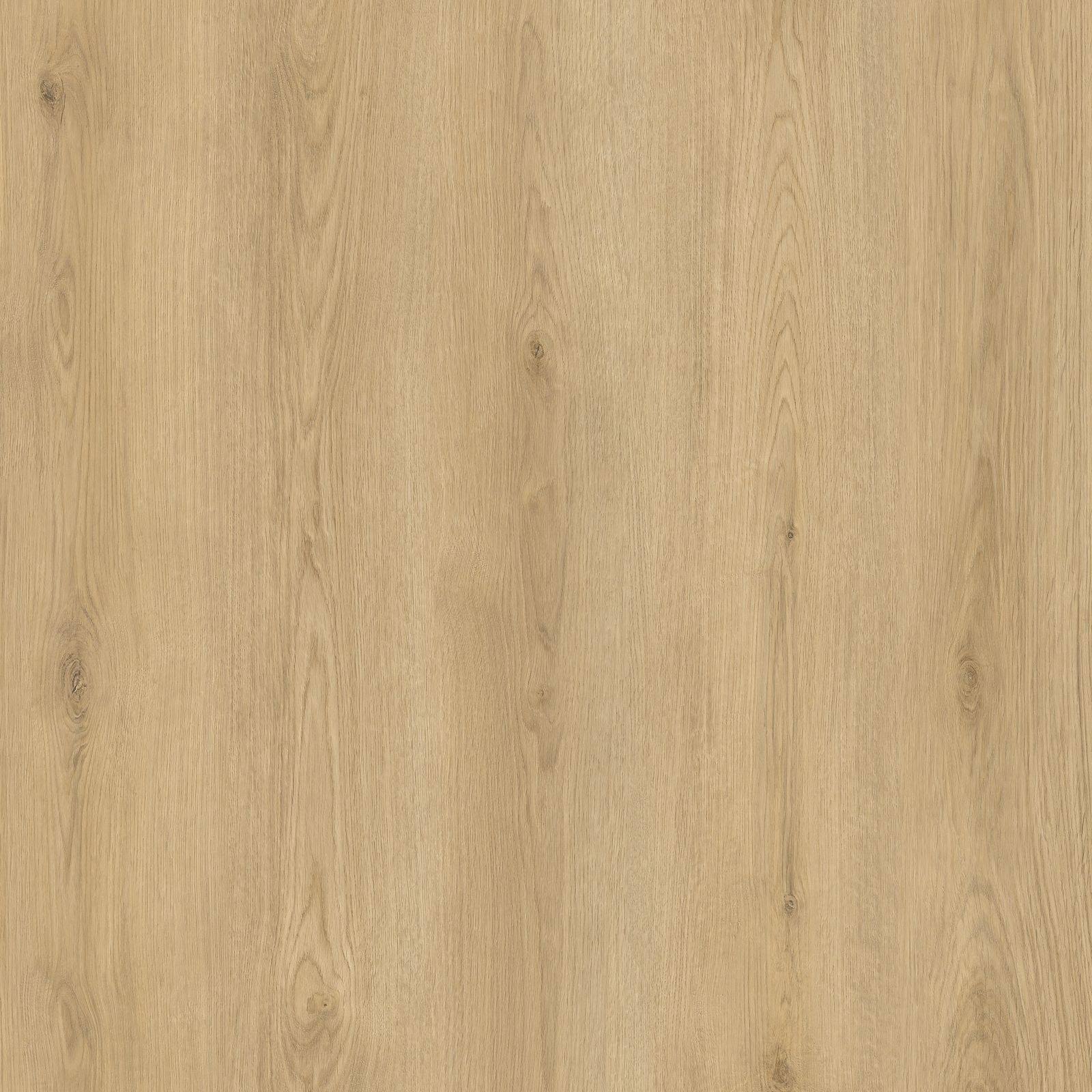 Hoomline City Rigid Click Haarlem 7008 Klik PVC