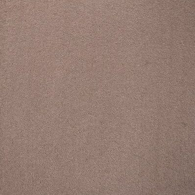 Gelasta Adventure 74 Beige - Tapijt