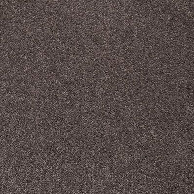 Gelasta Adventure 75 Beige - Tapijt