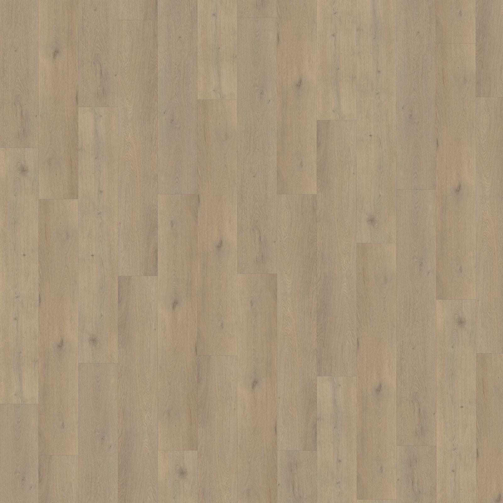 Belakos Attico 860 Dryback - Plak PVC Vloer