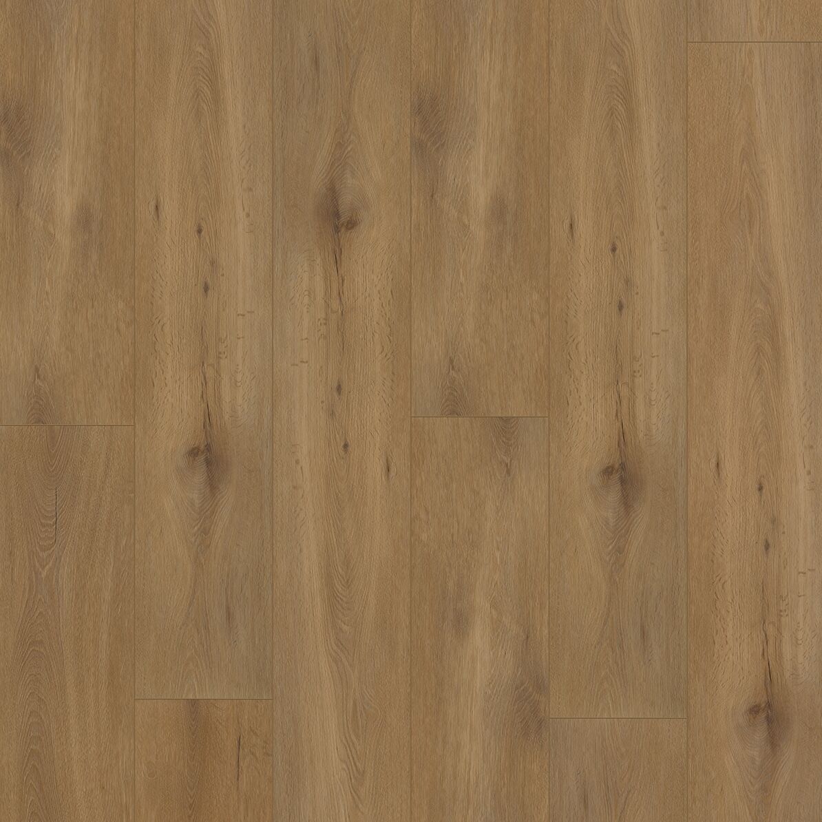 Gelasta Callisto 4100 Dryback Natural Oak Dark