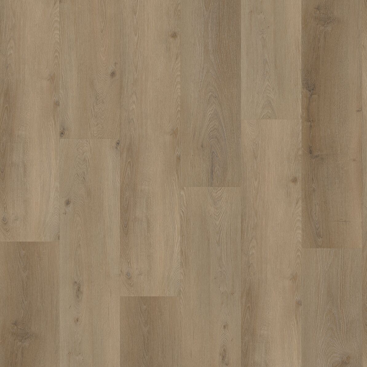 Gelasta Vario 4901 Dryback Prestige Oak Smoked