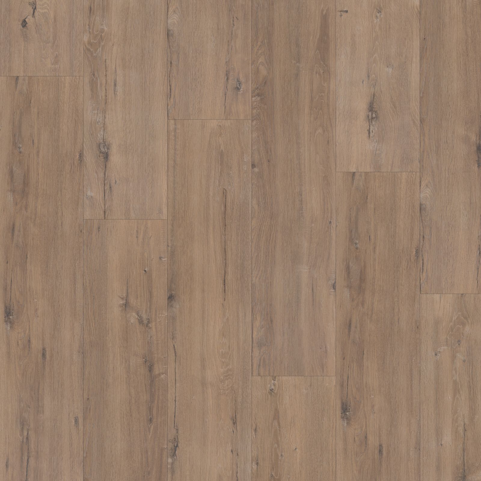 Hoomline Elite XL Aquaprotect V4 60902 Schelde Laminaat - Laminaatvloer