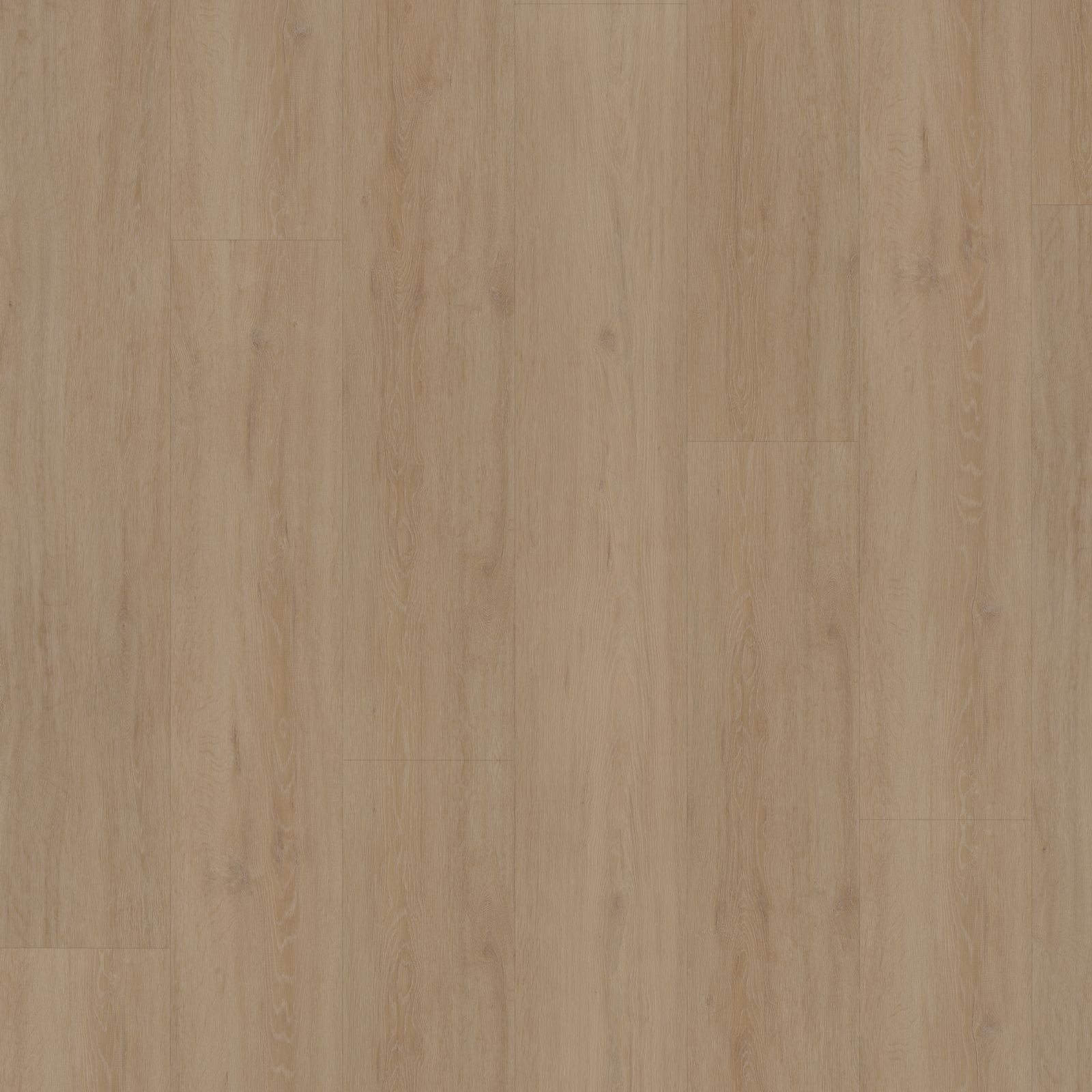 Hoomline Fusion XL Superior Dryback Gotham Oak Flax - Plak PVC Vloer