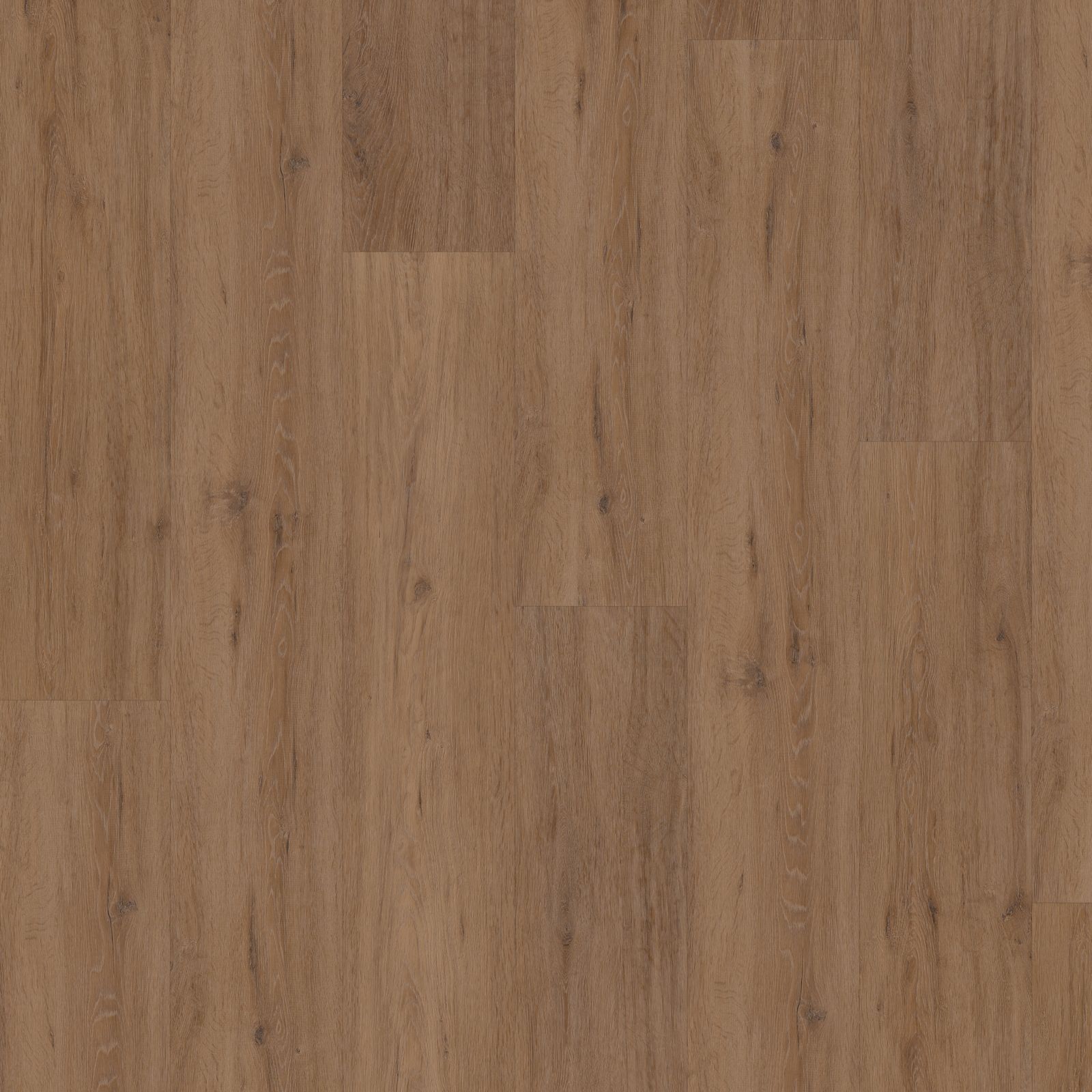 Hoomline Fusion XL Superior Dryback Gotham Oak Honey - Plak PVC Vloer