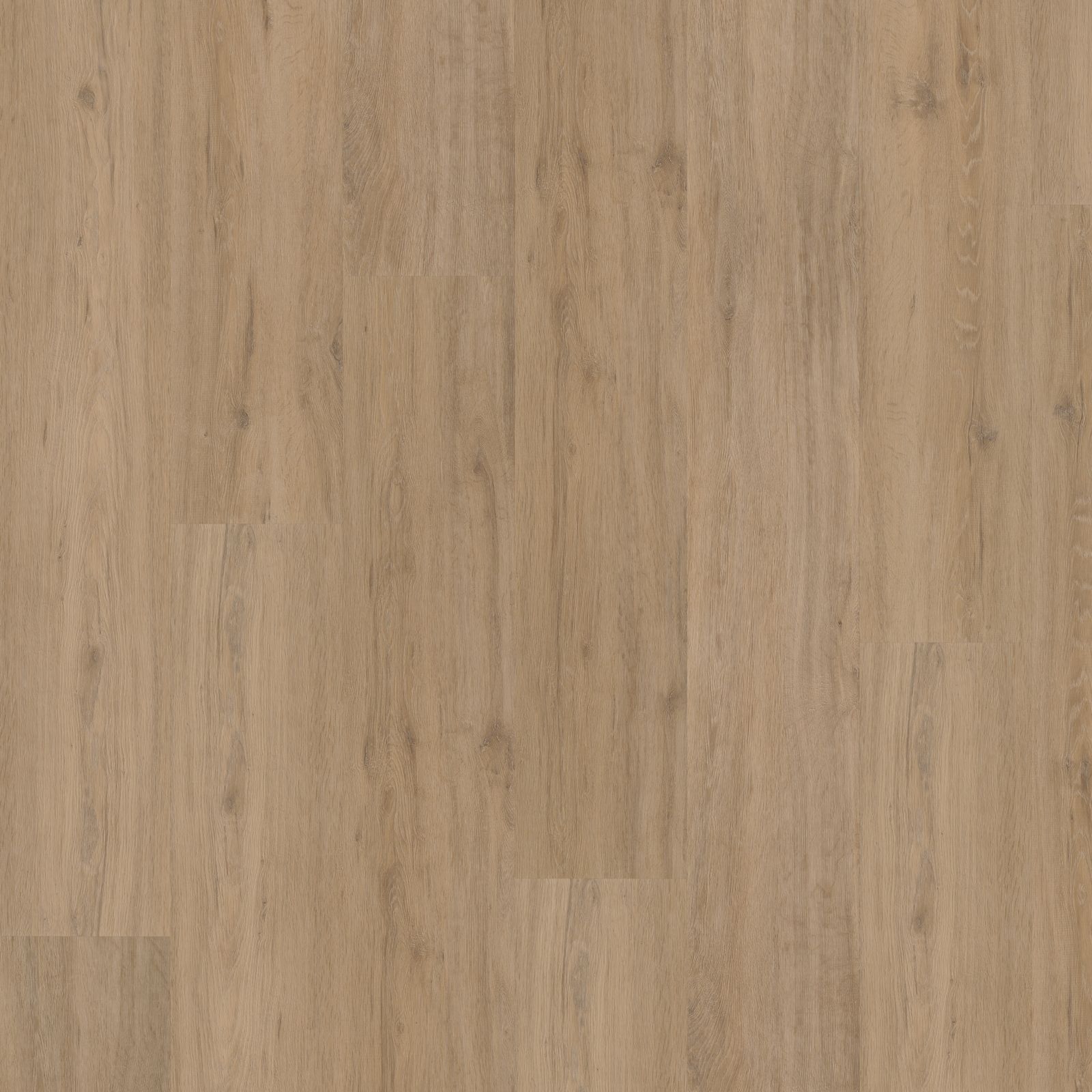 Hoomline Fusion XL Superior Dryback Gotham Oak Natural - Plak PVC Vloer