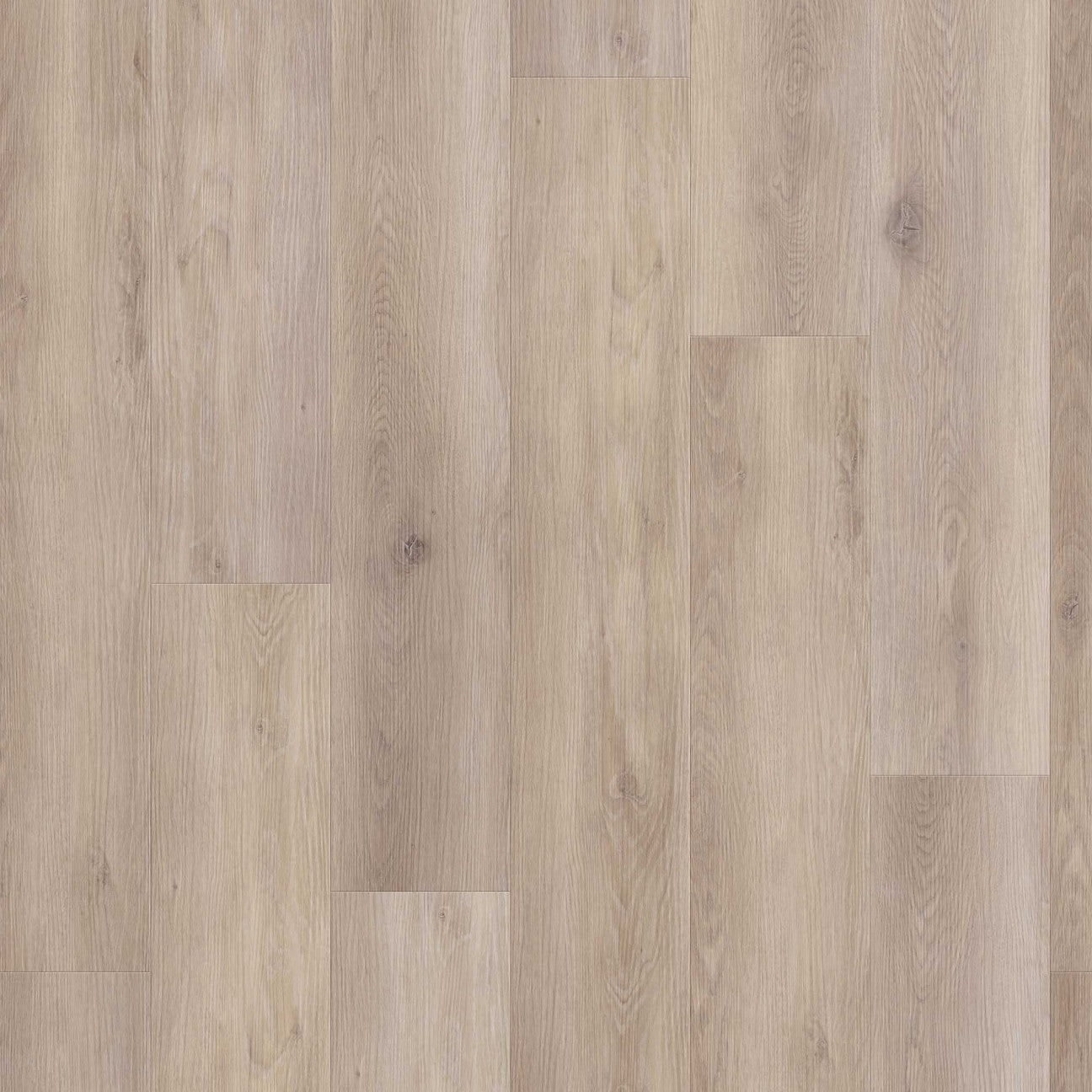 Solidfloor Mansion Comfort Click Dust Oak - Klik PVC