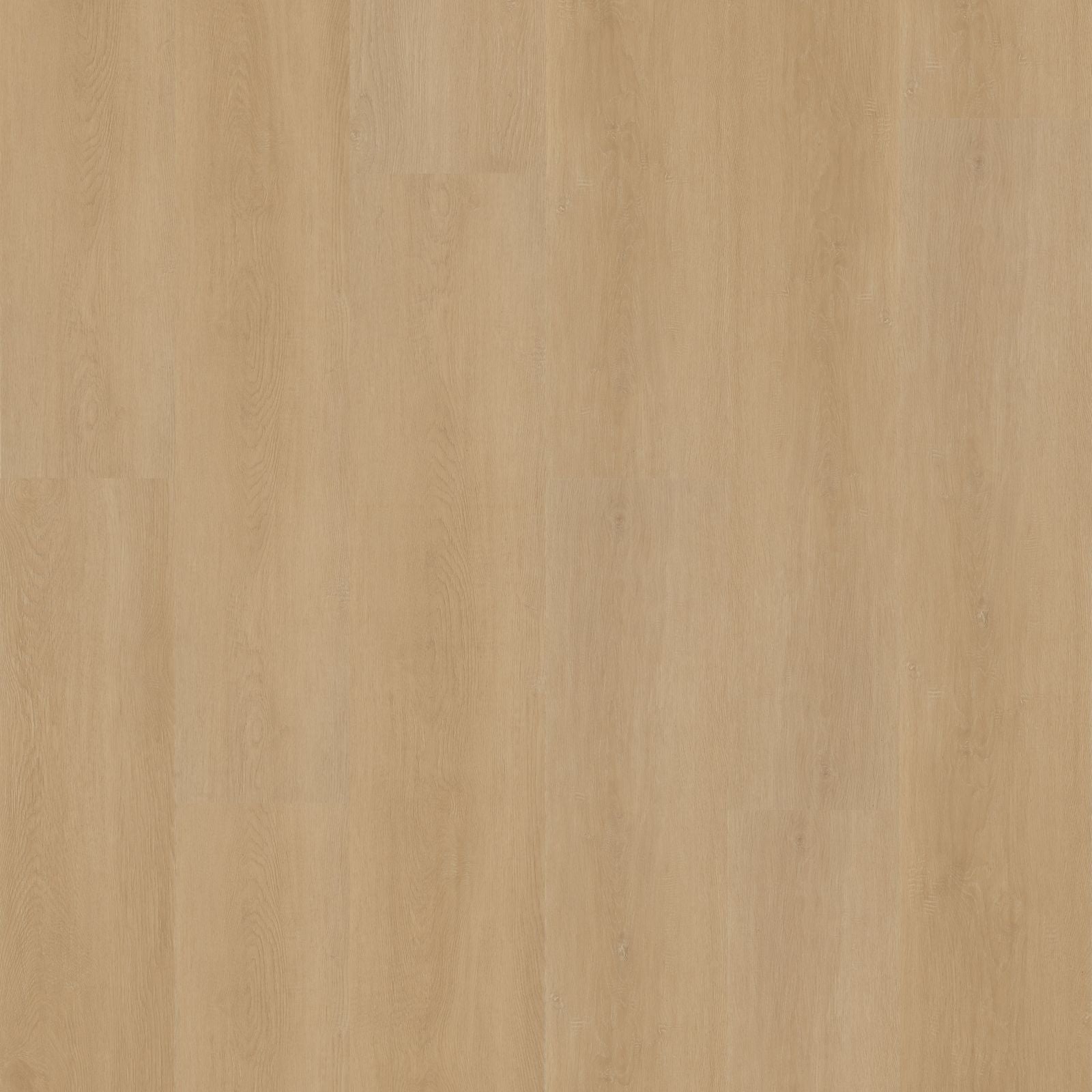Hoomline Prestige Dryback Plank Cannes 5052 PVC