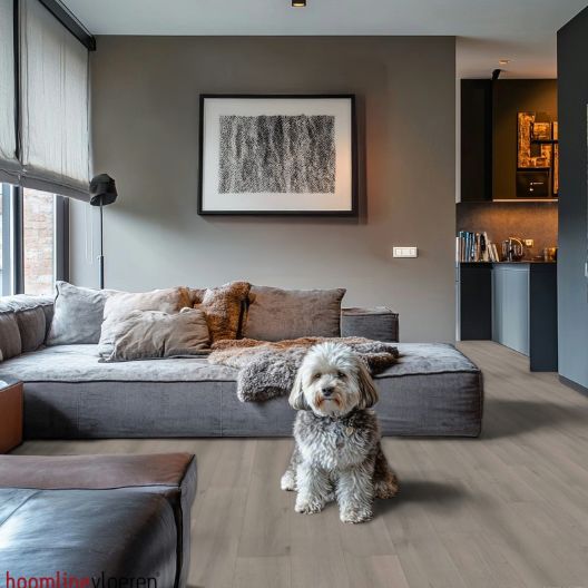 Hoomline Elite Classic Aquaprotect 6041 Amber Laminaat - Laminaatvloer