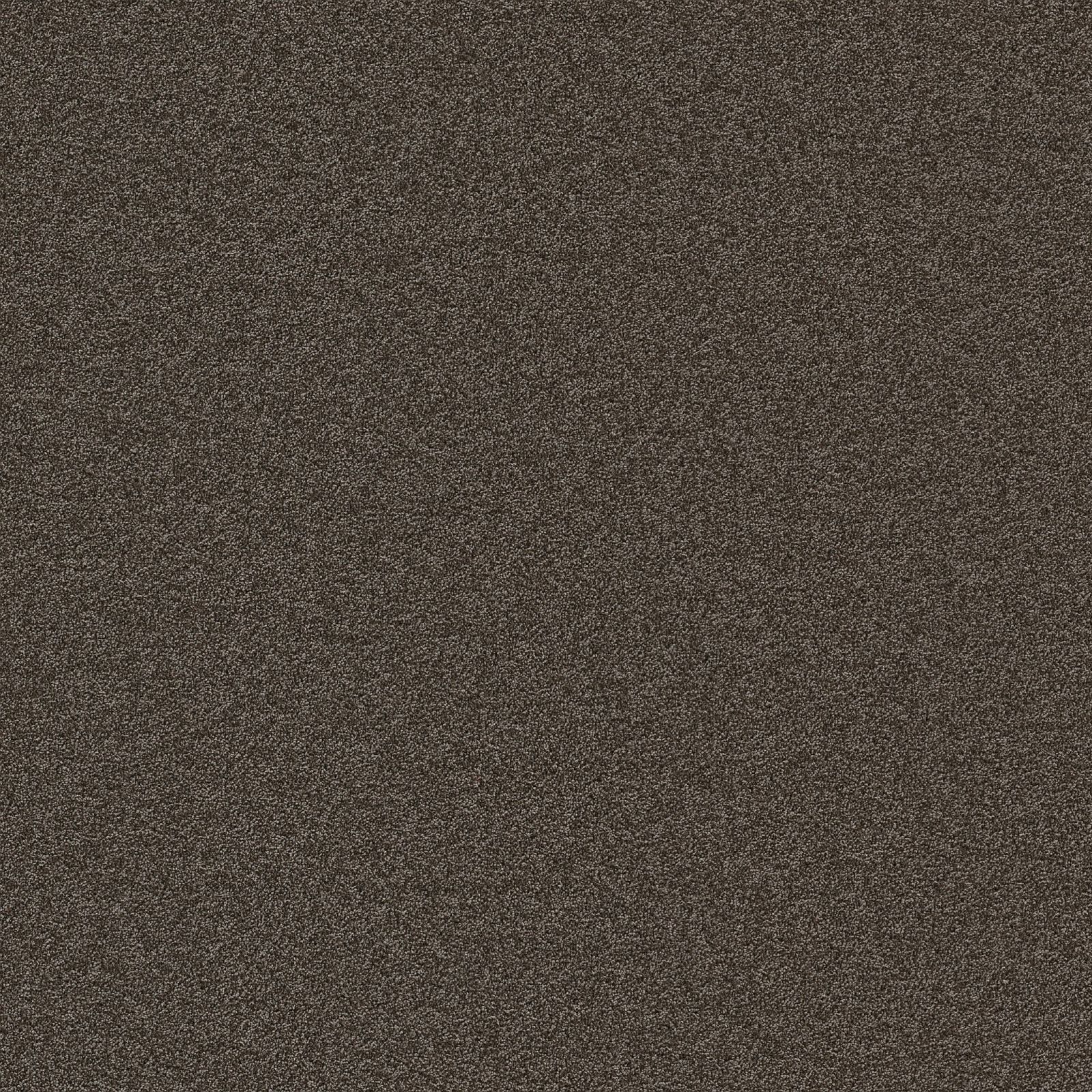 Ambiant Alaska Bruin 0600 - Vloerbedekking - Tapijt