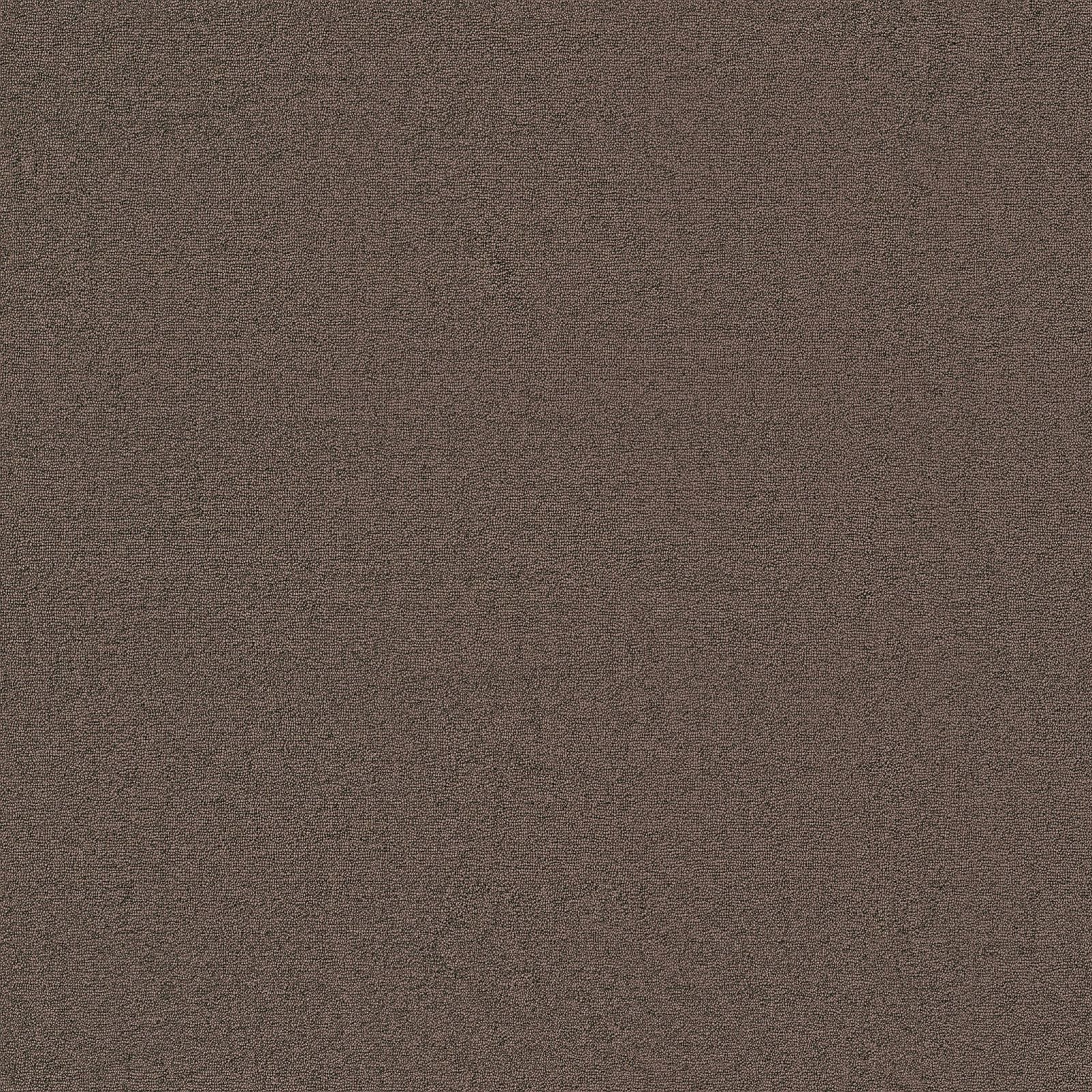 Ambiant Atlanta Bruin 0600 - Vloerbedekking - Tapijt