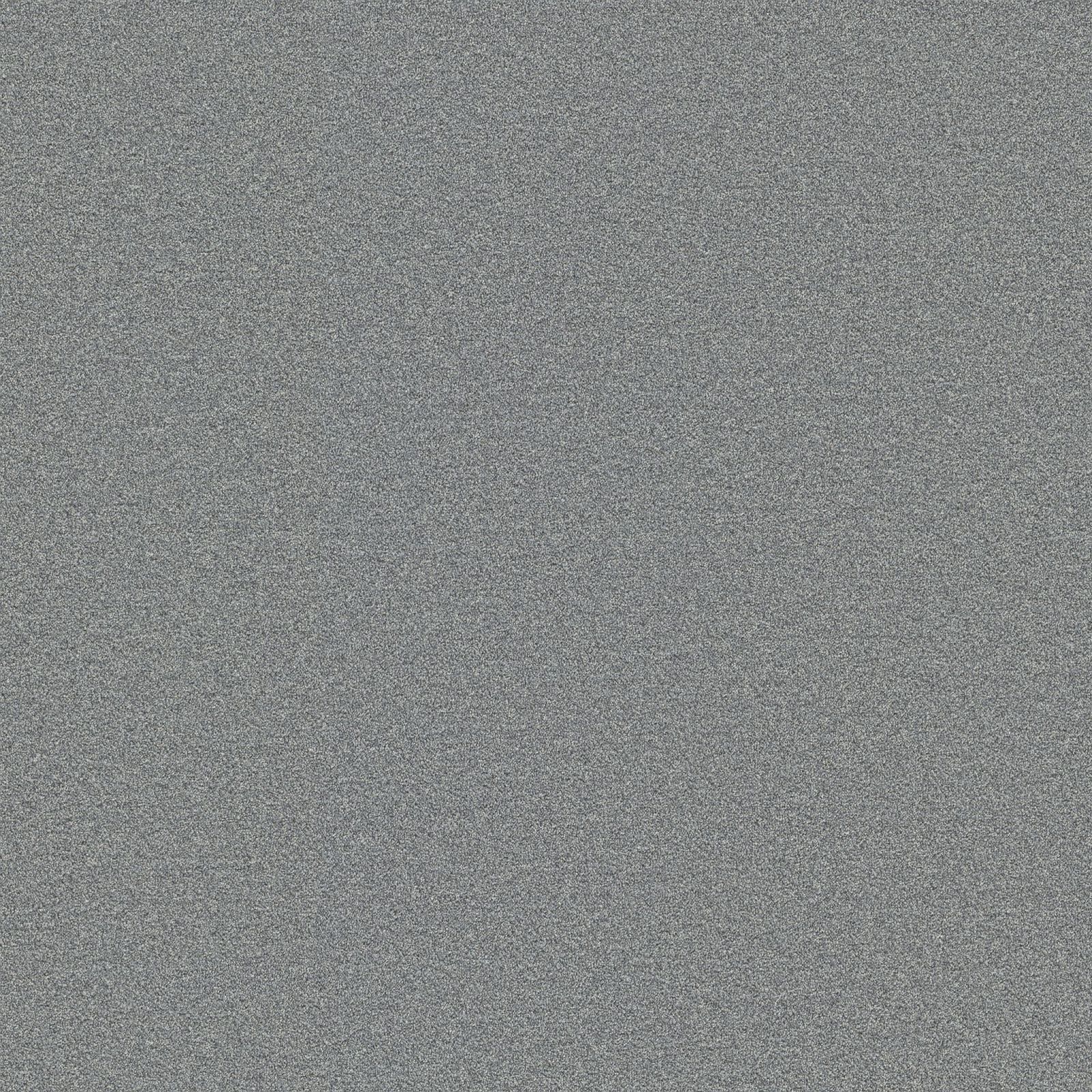 Ambiant Attraction Zilver 0175 - Vloerbedekking - Tapijt