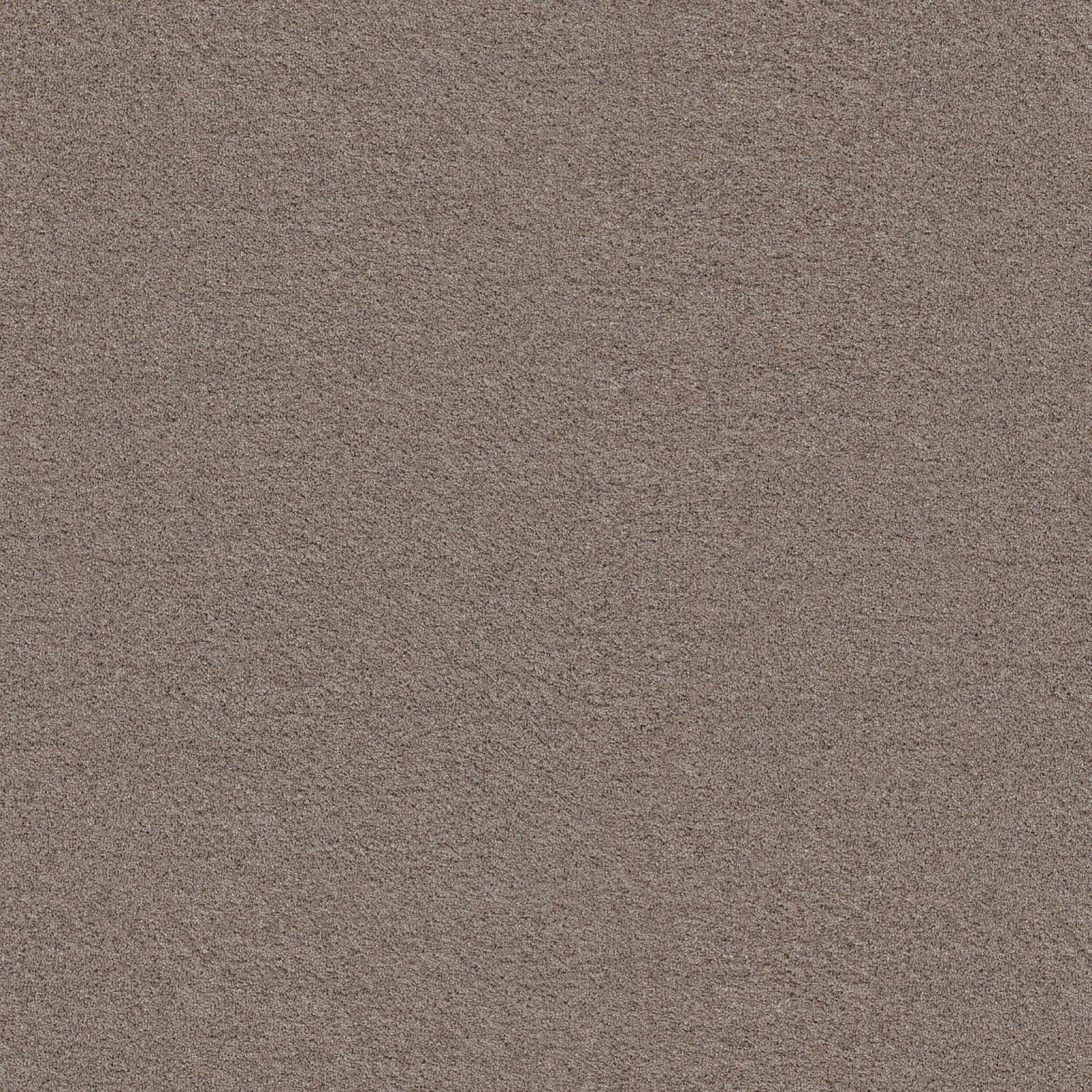 Ambiant Baltimore Beigebruin 0485 - Vloerbedekking - Tapijt