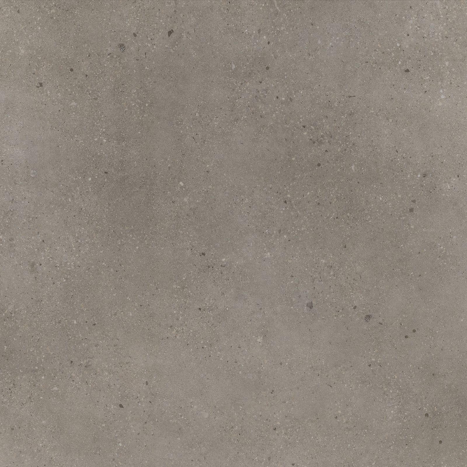 Ambiant Composite XL Dryback Warm Grey - Plak PVC Vloer