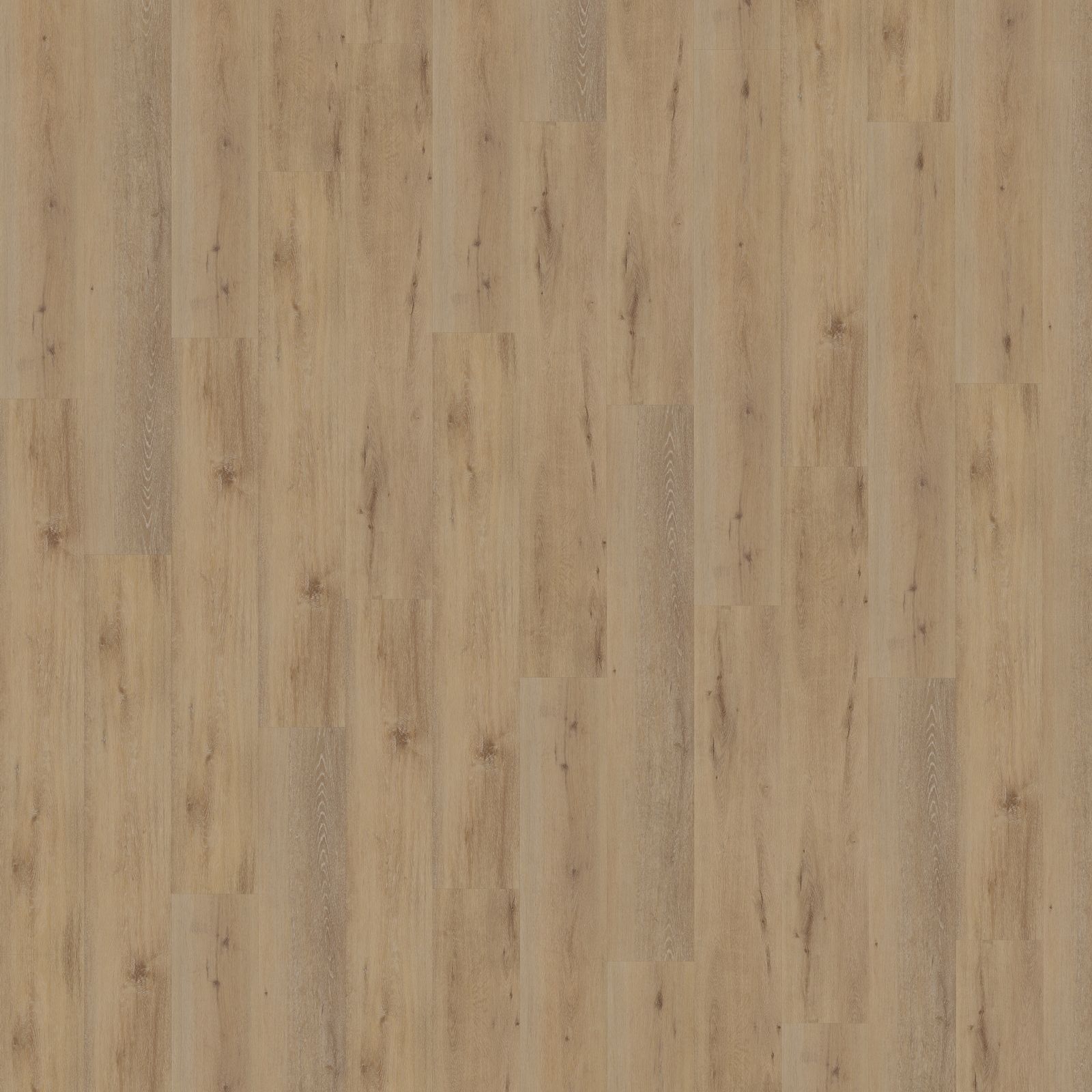 Belakos Attico 800 Dryback - Plak PVC Vloer