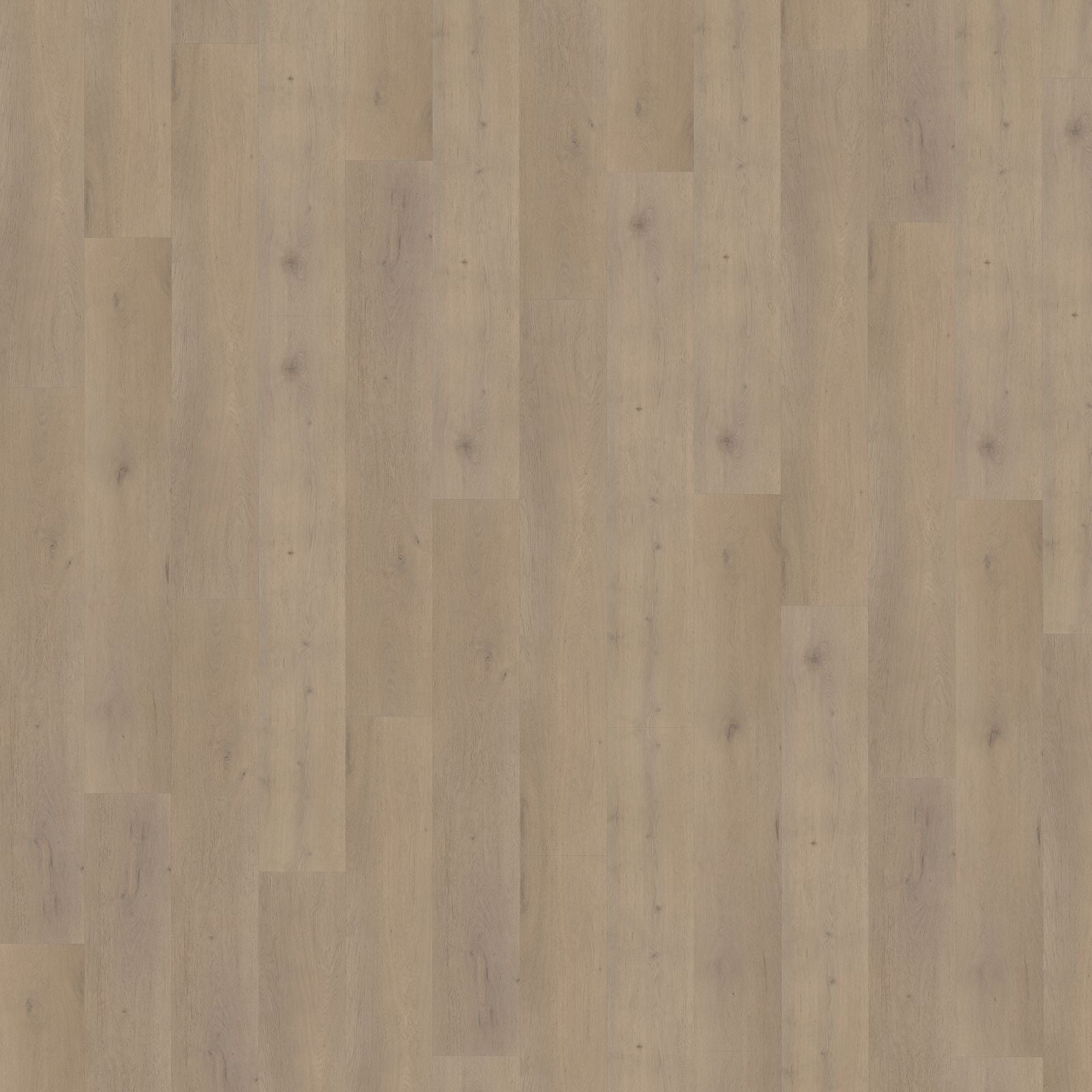 Belakos Attico 820 Dryback - Plak PVC Vloer