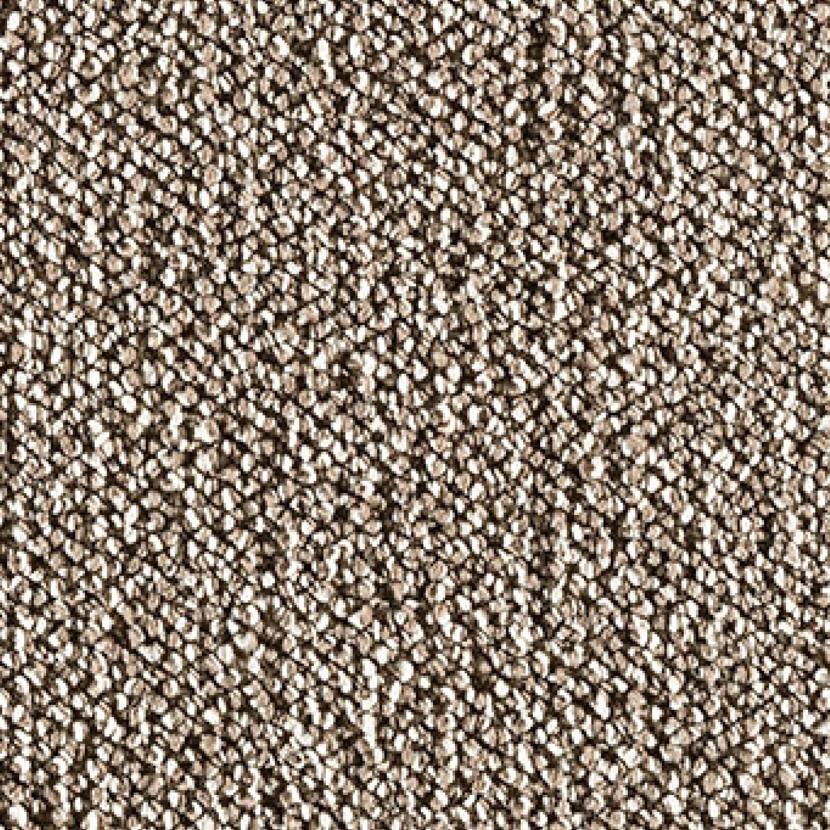 Gelasta Ecoswitch 245 Kokos Gêmeleerd - Tapijt