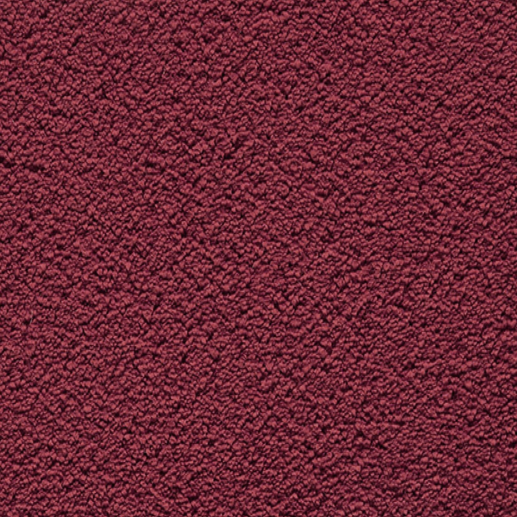 Gelasta Elite SDN 16 - Tapijt