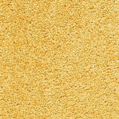 Gelasta Joy! 253 - Tapijt