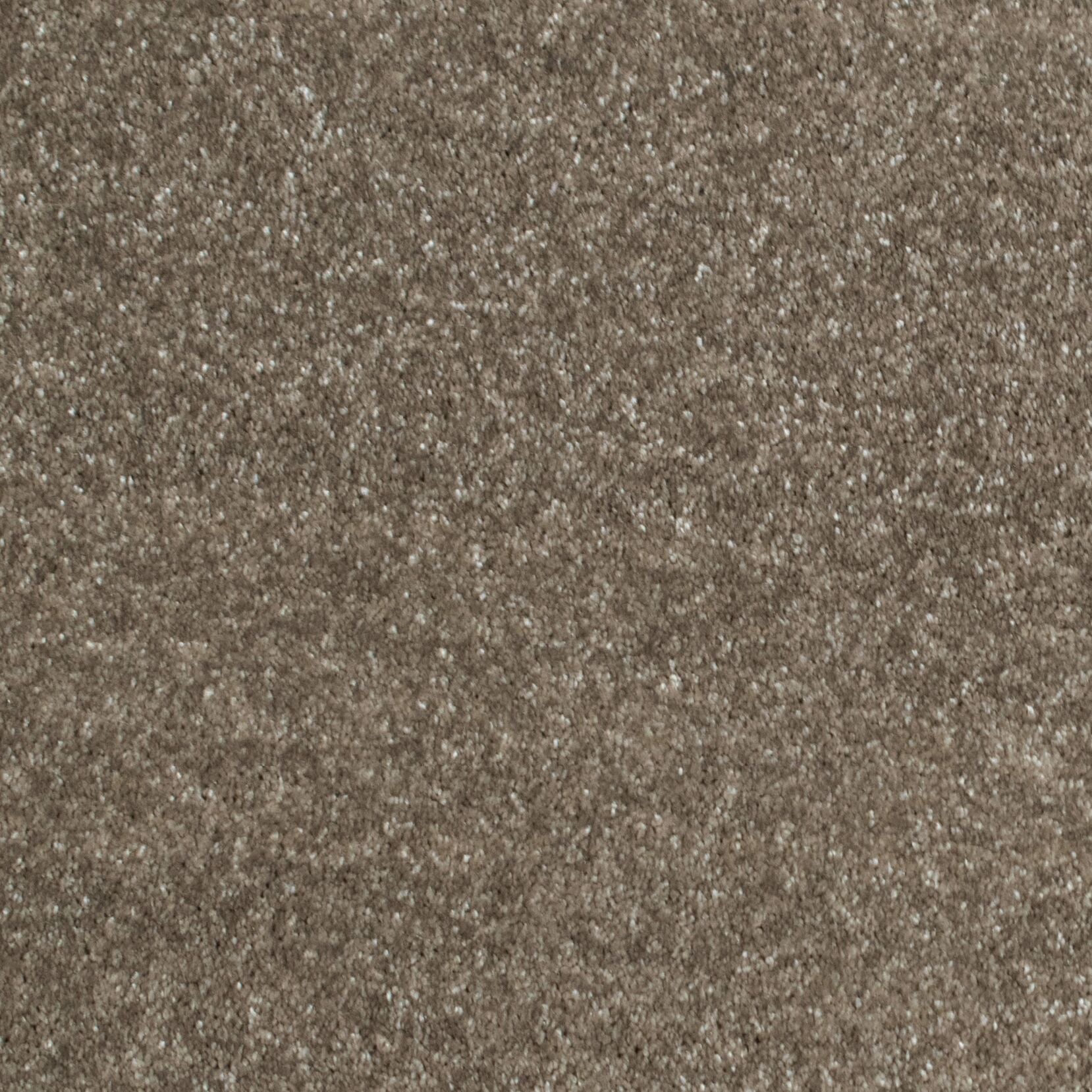 Gelasta Luxor 139 - Tapijt