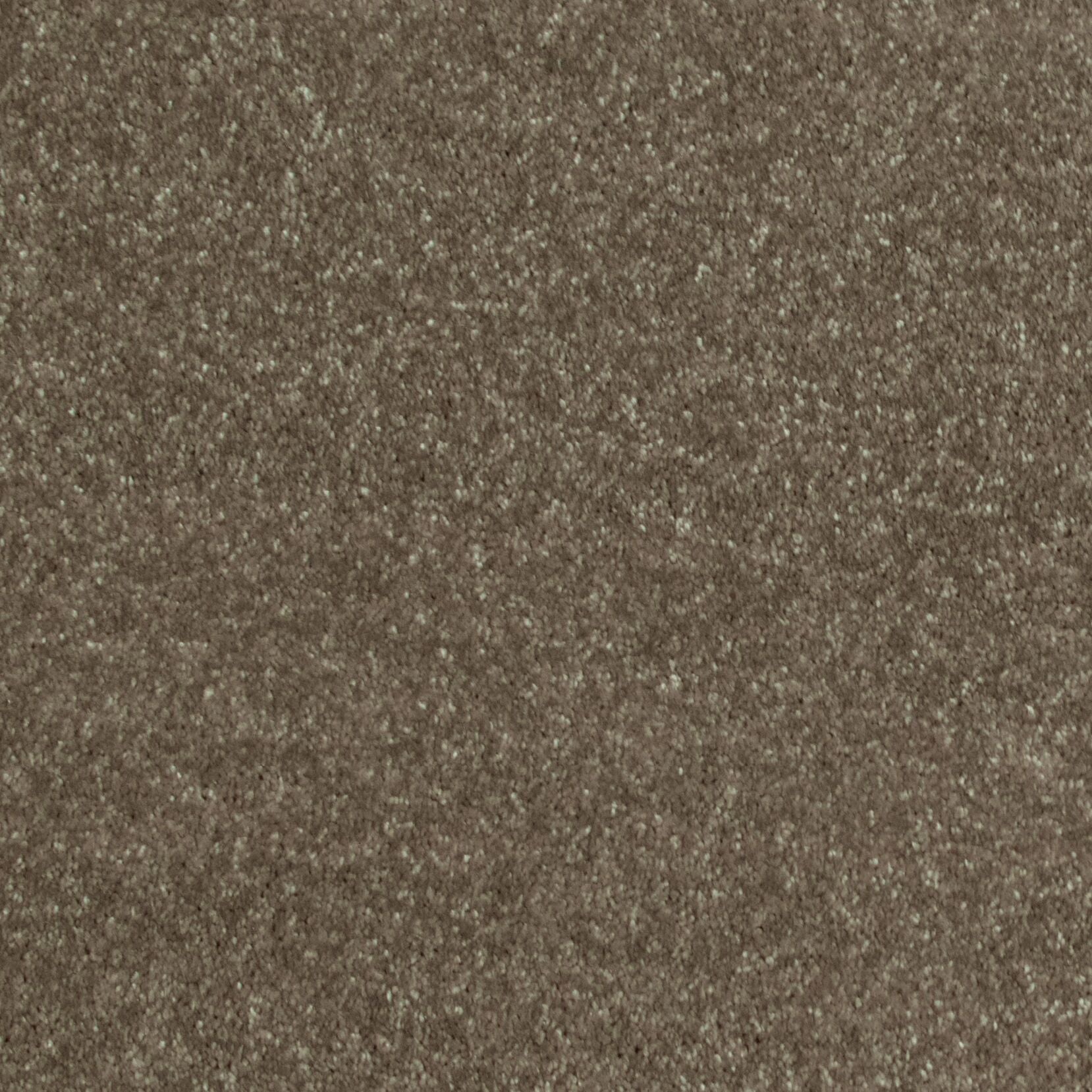 Gelasta Luxor 141 - Tapijt