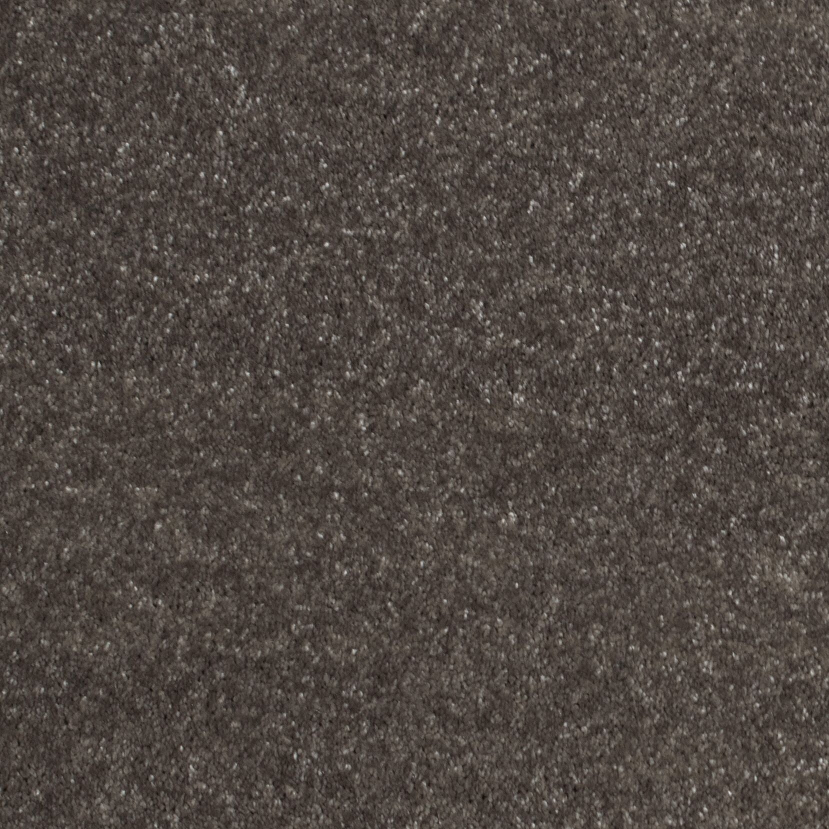 Gelasta Luxor 148 - Tapijt