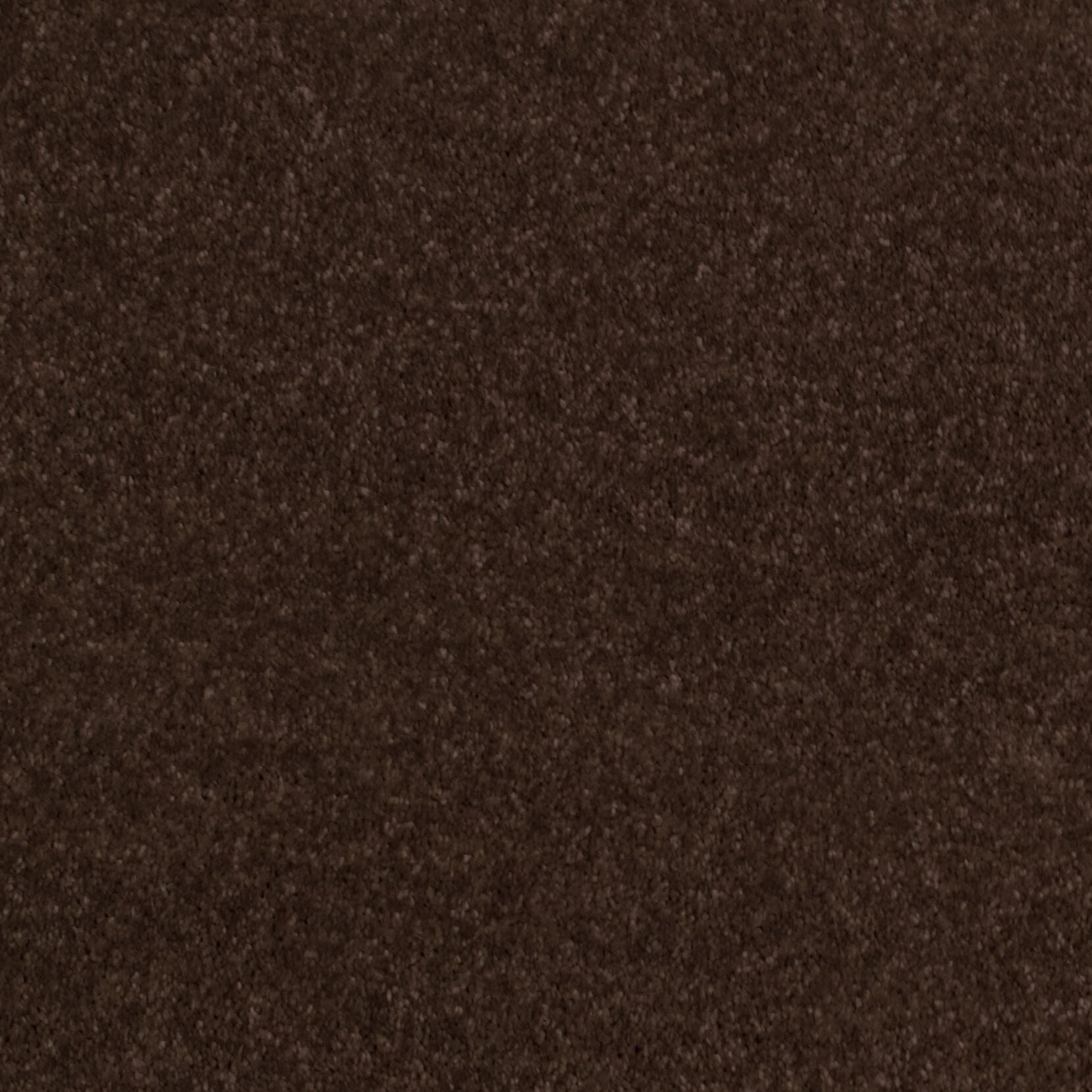 Gelasta Luxor 164 - Tapijt