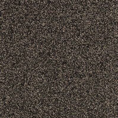 Gelasta Xtreme SDN 148 - Tapijt