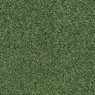 Gelasta Xtreme SDN 22 - Tapijt