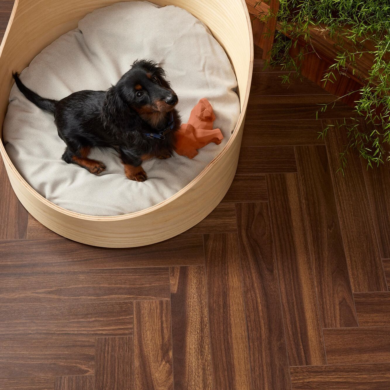 Berry Alloc Chateau+ 62002166 Walnut Brown Visgraat Laminaat