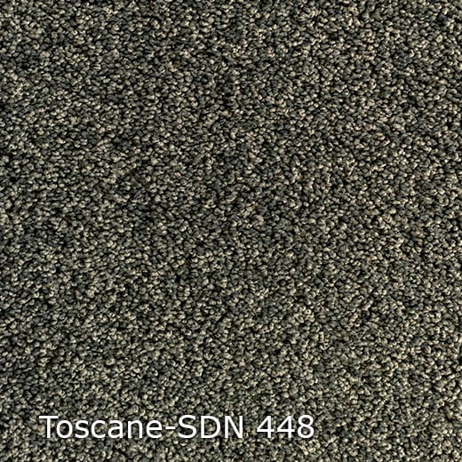 Interfloor Toscane SDN 448 - Vloerbedekking - Tapijt