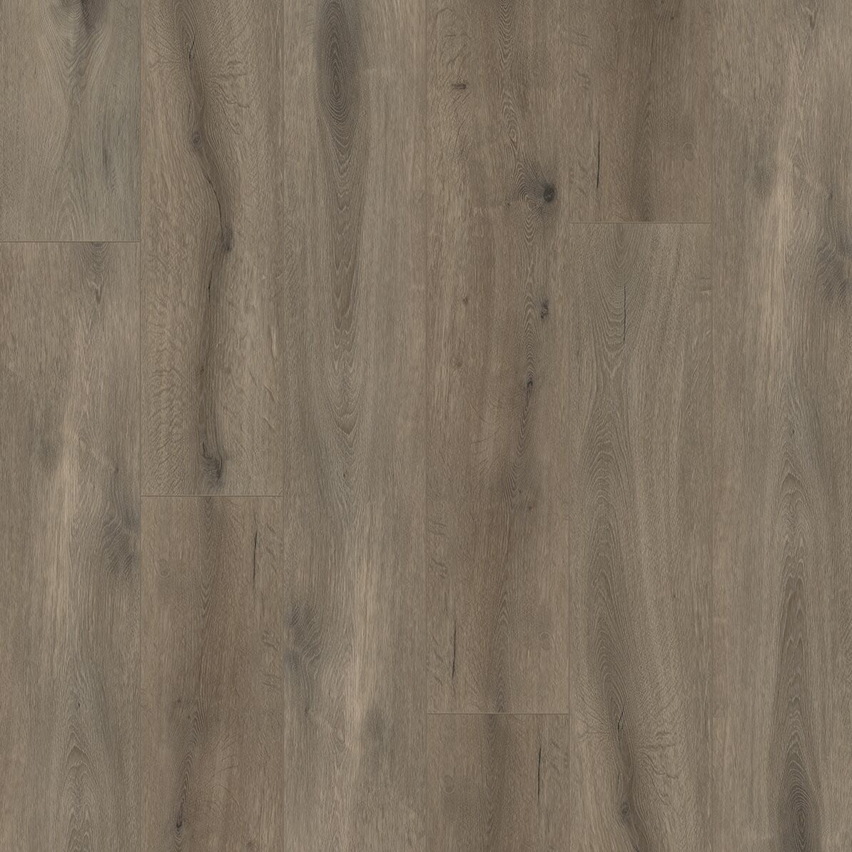 Gelasta Callisto 4105 Dryback Natural Oak Brown