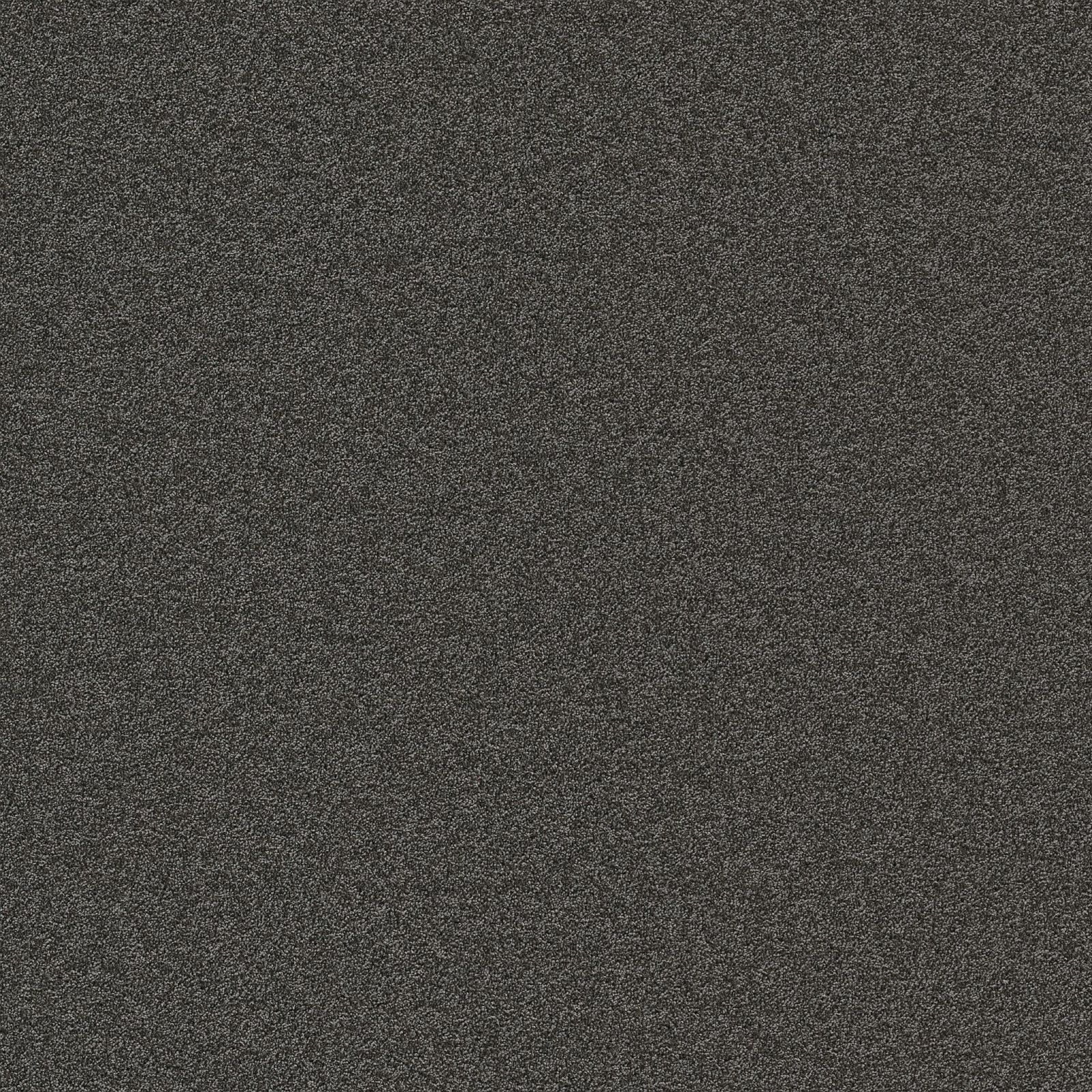 Ambiant Alaska Bruingrijs 0125 - Vloerbedekking - Tapijt