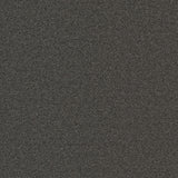 Ambiant Alaska Bruingrijs 0125 - Vloerbedekking - Tapijt