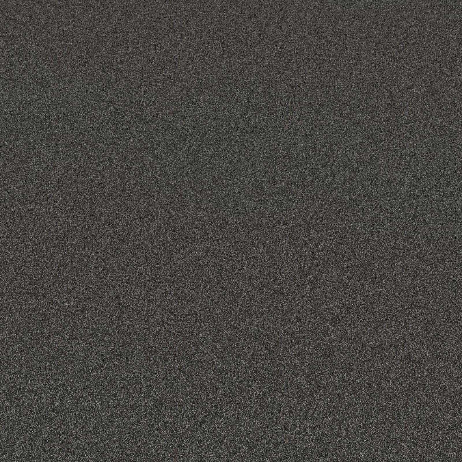 Ambiant Alaska Bruingrijs 0125 - Vloerbedekking - Tapijt