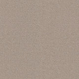 Ambiant Baltimore Nougat 0035 - Vloerbedekking - Tapijt