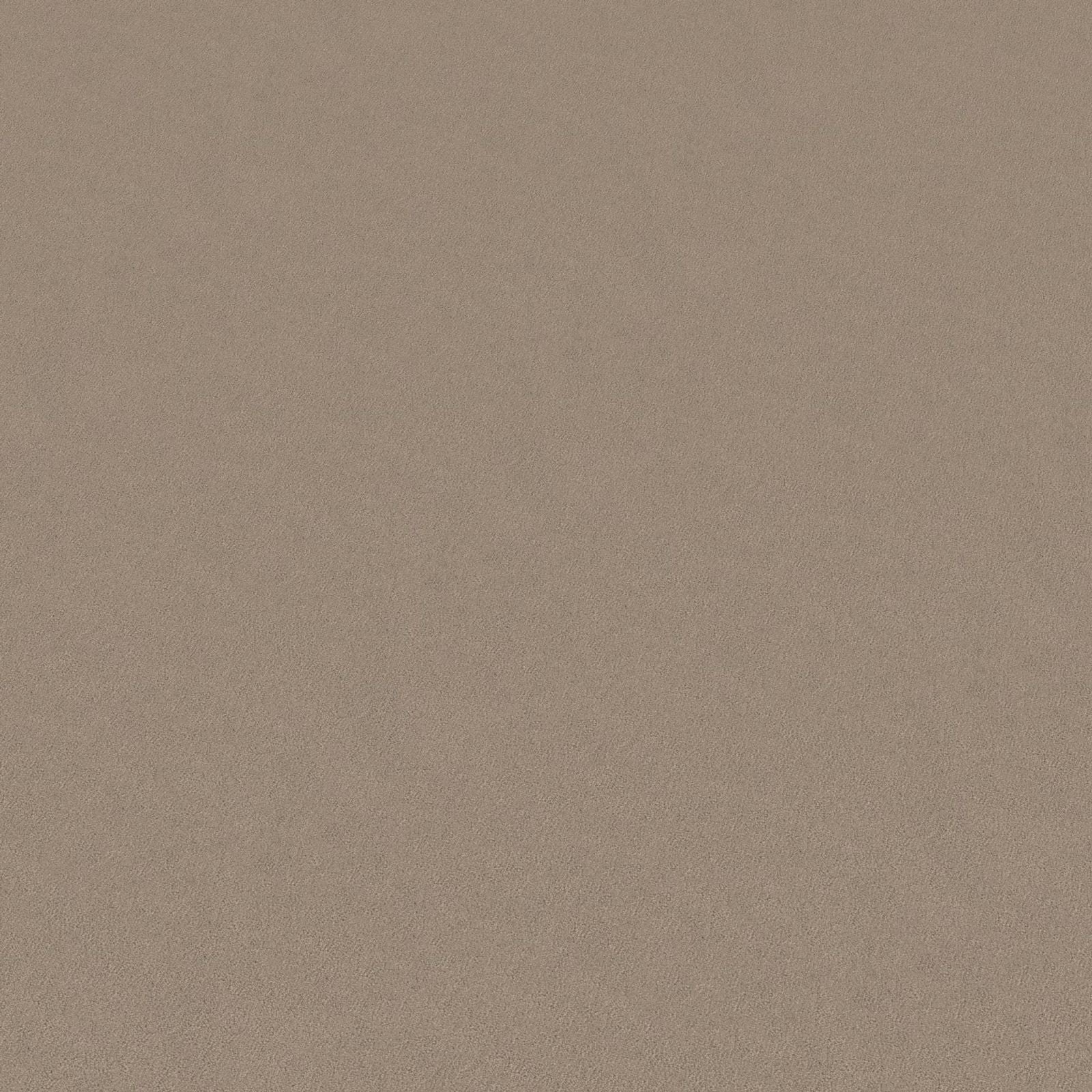 Ambiant Charmant Beigebruin 0485 - Vloerbedekking - Tapijt