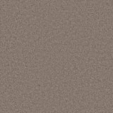 Ambiant Cleveland Taupe 0535 - Vloerbedekking - Tapijt