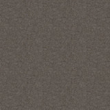 Ambiant Comfy Leembruin 0685 - Vloerbedekking - Tapijt