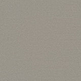 Ambiant Houston Grijsbeige 0496 - Vloerbedekking - Tapijt