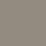 Ambiant Lexington Beige 0400 - Vloerbedekking - Tapijt