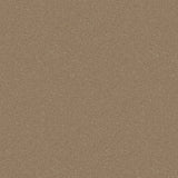 Ambiant Magnifico Caramel 0480 - Vloerbedekking - Tapijt