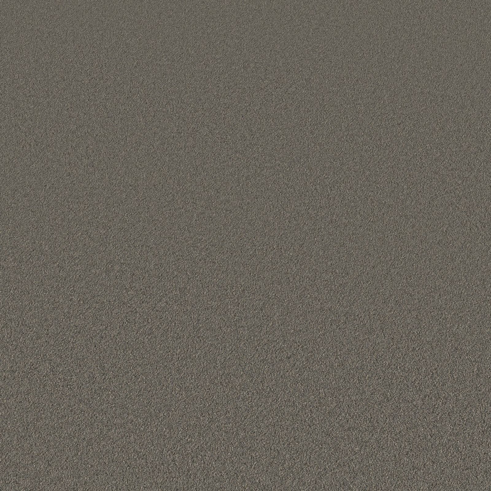 Ambiant Magnifico Grijs 0100 - Vloerbedekking - Tapijt