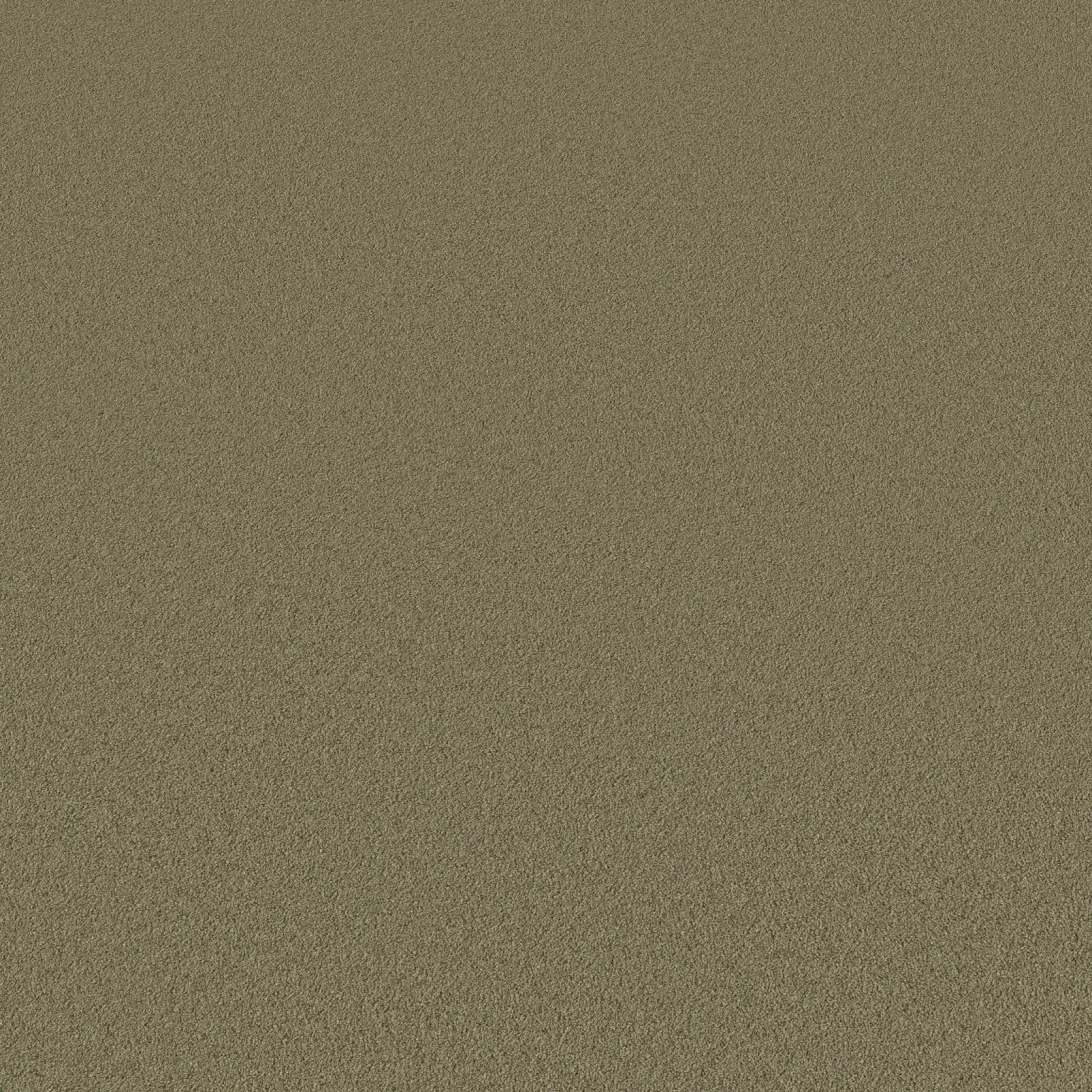 Ambiant Magnifico Groen 0900 - Vloerbedekking - Tapijt