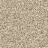 Ambiant Magnifico Lichtgrijs 0165 - Vloerbedekking - Tapijt